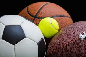 High school boys soccer: Top seeds blank Belleville Henderson, Copenhagen in quarterfinals